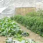 Gospodarstwo agroturystyczne Giunasco