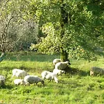Gospodarstwo agroturystyczne Giunasco *