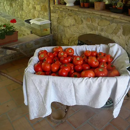 Giunasco Bagnone
