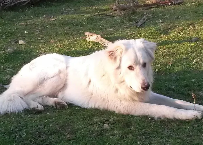 Giunasco Κατάλυμα σε φάρμα Bagnone