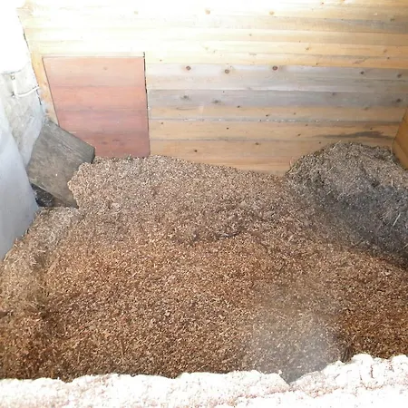 Farma Giunasco