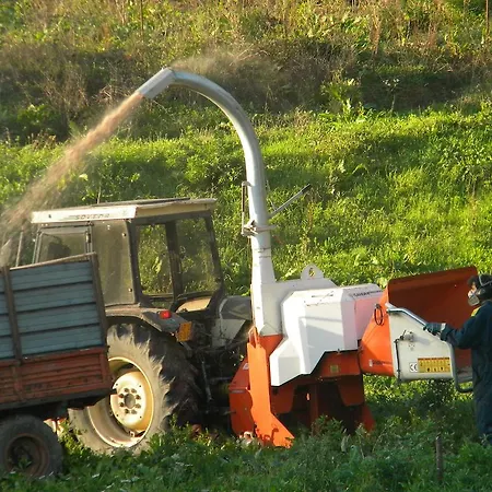 Giunasco Bagnone