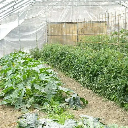 Séjour à la ferme Giunasco