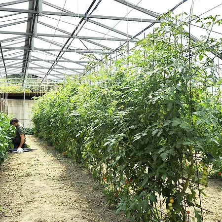 Farma Giunasco Bagnone