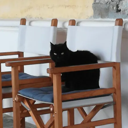 Giunasco