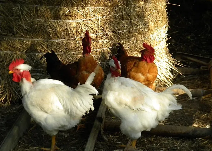 Gospodarstwo agroturystyczne Giunasco Bagnone