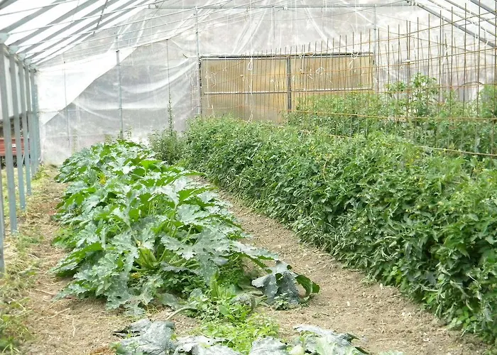 Gospodarstwo agroturystyczne Giunasco