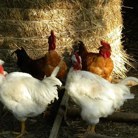 Vakantieboerderij Giunasco Bagnone