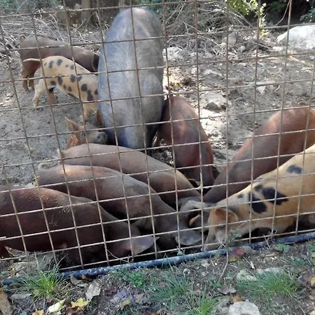 Giunasco Vakantieboerderij *