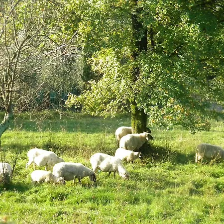 Vakantieboerderij Giunasco *